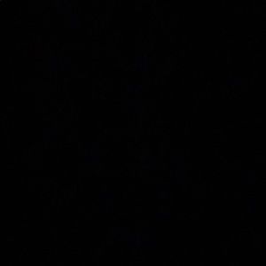 Meet your Posher, Addie